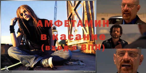 прущие грибы Верея