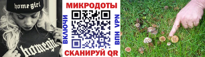 где можно купить наркотик  мега tor  Псилоцибиновые грибы мухоморы  Калач-на-Дону 
